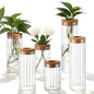 6 Sets Glass Plant Propagation Vases Cork Lid, 3 Size Desktop