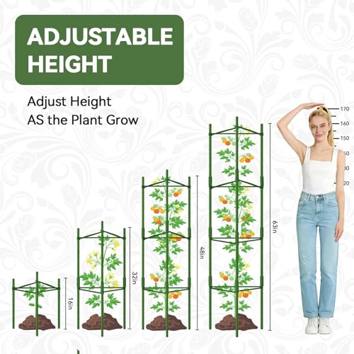 Halatool 2 Pack Tomato Cages for Garden, Up to 63 inch(5.2FT) - color: 2 Pack, size: 63 Inches
