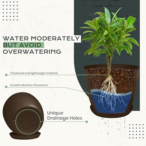 Plant Pots Indoor with Drainage, 10 Pack Multi-Size Planters Set, Brown - color: Brown, size: Pack of 10