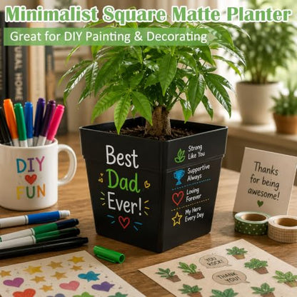 6-Pack 7 Inch Square Planters with Built-in Drainage Tray & Bottom Plug - color: Black