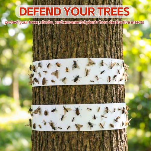 6 Rolls Spotted Lantern Fly Tree Trap, 30 ft Each, Outdoor Ant Trees Wrap