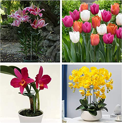 20 Pack 36 Inch Plant Support Stakes for Outdoor Plants and Indoor Flowers - size: 36 Inch