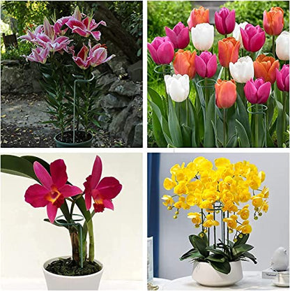 20 Pack 36 Inch Plant Support Stakes for Outdoor Plants and Indoor Flowers - size: 36 Inch