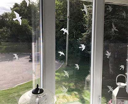 Anti Collision Window Bird Stickers Decals Glass Door Protect and Save Bird Strikes (Transparent 36 Pcs) - color: Transparent-36 Pcs