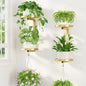 LASZOLA Plant Hanger Holder Window Shelf Wall Mounted Indoor, 2 Pcs Gold - color: Warm Gold, size: 2