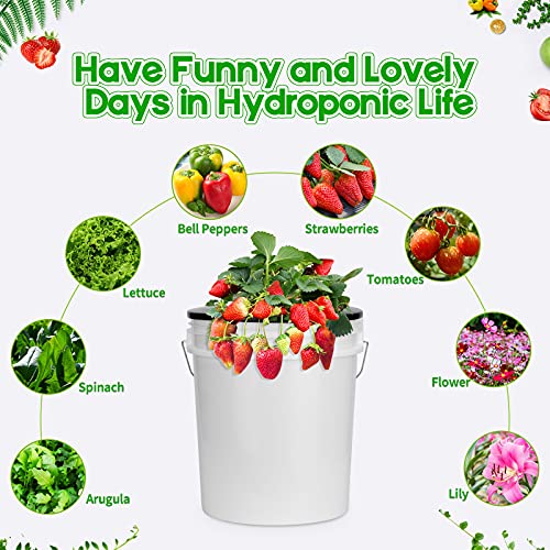 Net Pots for Hydroponics 5 Pack, 6 Inch Wide Lip Bucket Basket for Hydroponic Bucket and DWC Bucket System.