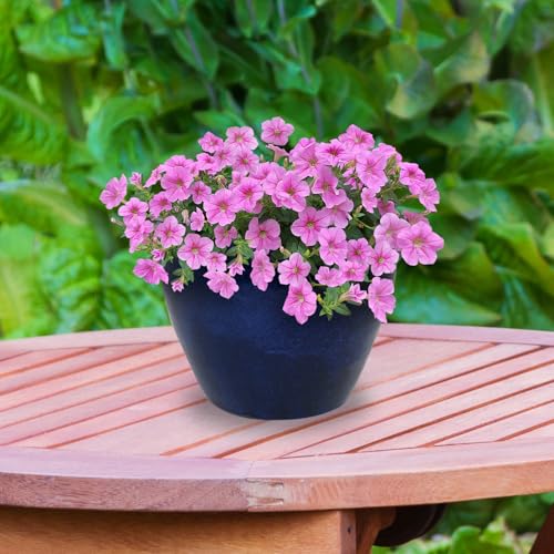 Sunnydaze Chalet 14.5" Ceramic Plant Pot, Imperial Blue Glaze