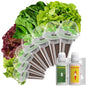 LYKOCLEAN Salad Romaine Lettuce Pods for AeroGarden, Ahopegarden, iDOO Hydroponics Growing System, 350 Seeds+ Including American Fast Lettuce, Paris Island Cos Lettuce, Buttercrunch Lettuce(7-Pods) - color: Lettuce, size: 7pods