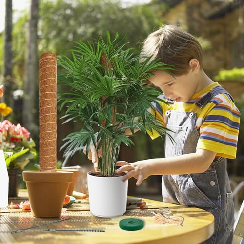 Monstera Plant Support Moss Pole, 2 Pack 16 Inch Stackable Coco Coir - size: 2-pack