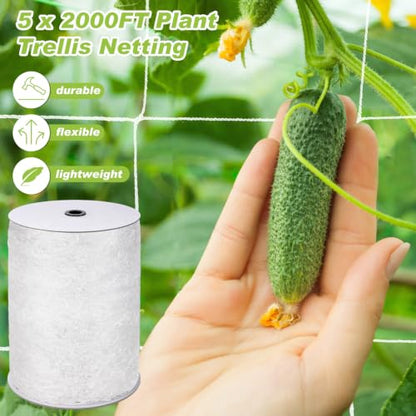 Berlune 5 x 2000 ft Trellis Netting Heavy Duty Nylon 6 Inch Mesh - size: 5 x 2000 ft