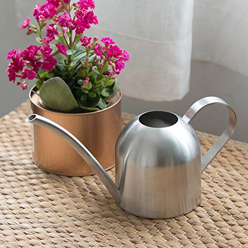 Watering Can for Indoor Plants, 30oz Long Spout Stainless Steel - size: Silver 30 oz