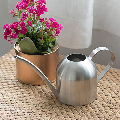Watering Can for Indoor Plants, 30oz Long Spout Stainless Steel - size: Silver 30 oz