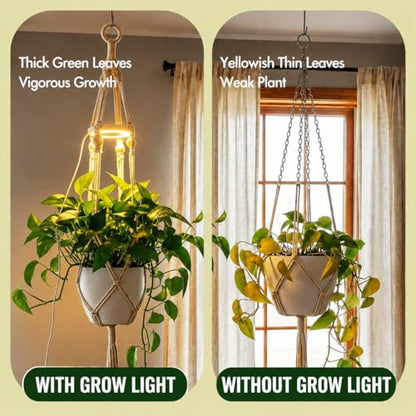 Hanging Plant Grow Lights for Indoor Plants with Timer - size: 1 Pack