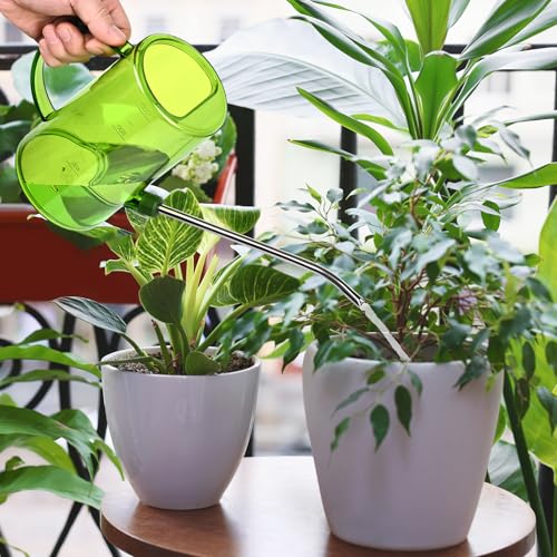 Plastic Watering Can - with Long Spout - 1/4 Gallon - 34 Oz - Green - color: Green