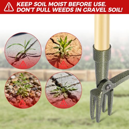 Weed Puller Tool, Stand Up Heavy Duty Weed Remover Tool with Long Handle – 4-Claw Steel Head Weeder for Dandelions, Bamboo Garden Hand Weeding Tool, No Kneeling for Easy Root Removal - color: Light brown
