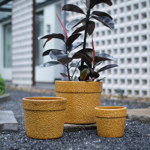 Ceramic Plant Pots with Drainage Hole, 9/12/15 Inch, Yellow - color: Yellow