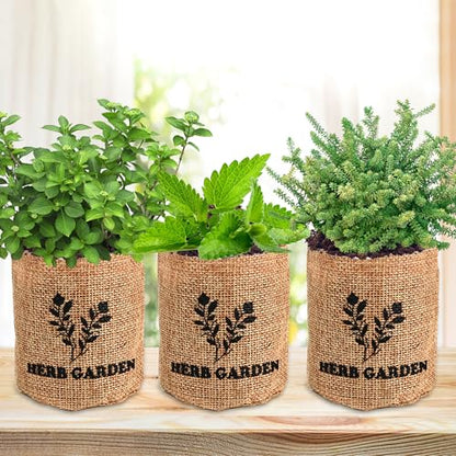 Indoor Herb Garden Starter Kit, Including A Complete Gardening Tools for Women Parents Gift