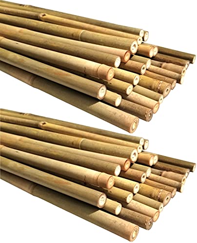 Natural Bamboo Poles, Eco-Friendly Plant Support Garden Stakes 16 Inch Long (50-Count) - size: 16 Inch (50-Count)