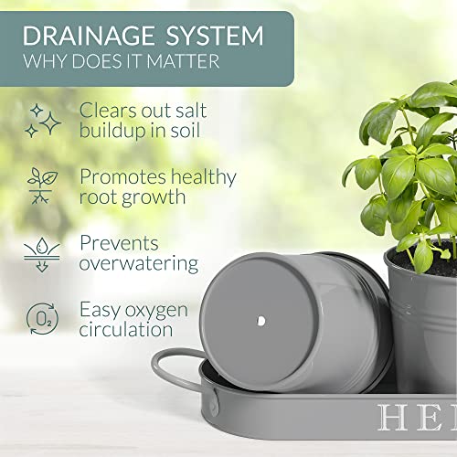 Barnyard Designs Indoor Herb Garden Planter Pots Set/3 (Cool Grey) - color: Cool Grey