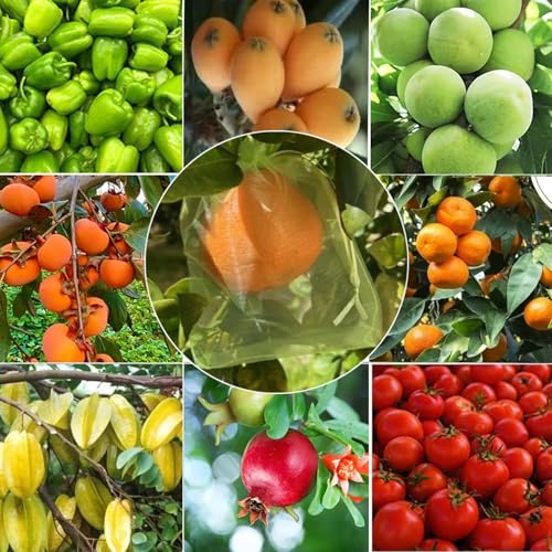 30 Pcs 5.9''×7.8'' Drawstring Fruit Netting Bags, Reusable Garden Netting Bags, Medium Fruit Protection Bags, Fruit Cover Mesh Bag for Fruit Trees Vegetable Floral - size: 5.9''×7.8''