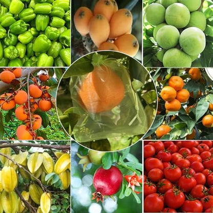 30 Pcs 5.9''×7.8'' Drawstring Fruit Netting Bags, Reusable Garden Netting Bags, Medium Fruit Protection Bags, Fruit Cover Mesh Bag for Fruit Trees Vegetable Floral - size: 5.9''×7.8''