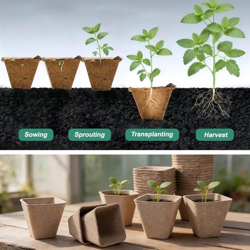 3.15 Inch Peat Pots 60 Pack, Square Seed Starting Pots with Plant Labels