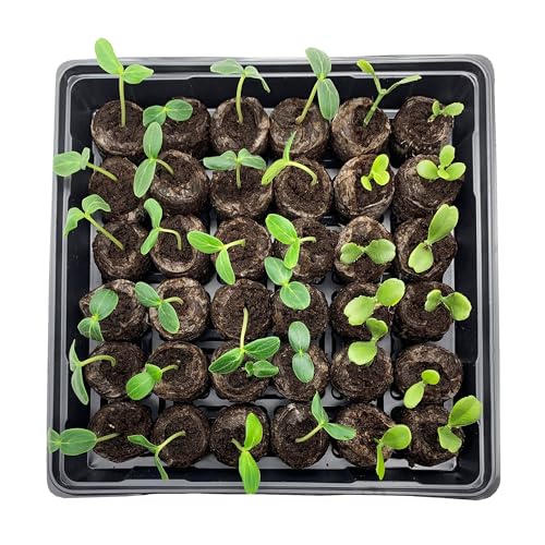 Jiffy Seed Starting Tray Kit - 36 Cell Germination Tray, Portable - 2 Pack, 72 Pellet - style: 2 Greenhouse Kit