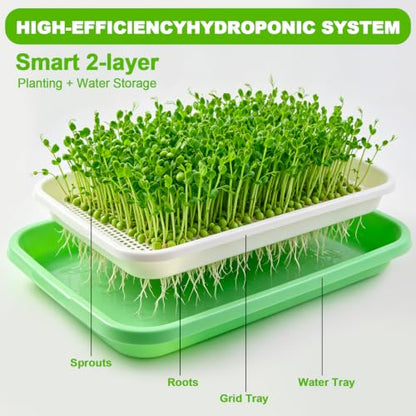 5 Pack Seed Sprouter Tray with Germinating Paper