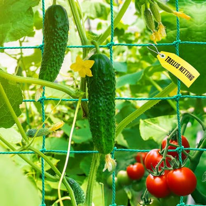 Trellis Netting for Climbing Plants, Cucumber/Tomato Garden Trellis Netting - size: 6.6x9.85 FT (27 Strands)