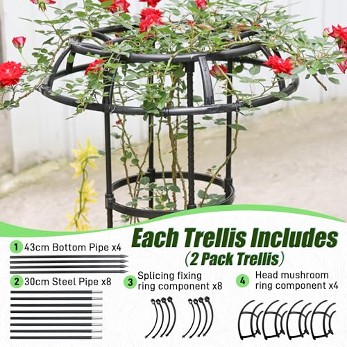 Quibbay 41.3 Inch Mushroom Top Garden Trellis for Climbing Plants,2 Pack - style: 3 Floors-10*41IN