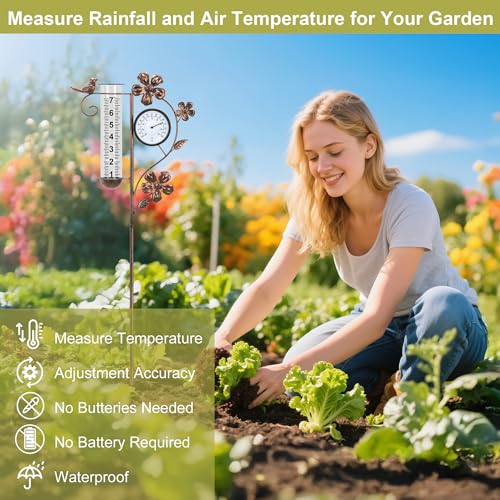 Rain Gauge Outdoor with Thermometer Garden Decorative, Bird Rain Gauges
