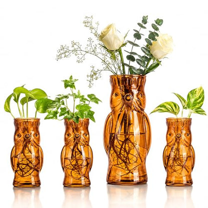 Nacome Owl Plant Propagation Station: Set of 4 Cute Brown Glass Vases - color: Brown