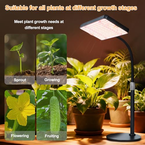 25W Desk Grow Lights for Indoor Plants, Bonsai, Seed Starting - size: 1 Head
