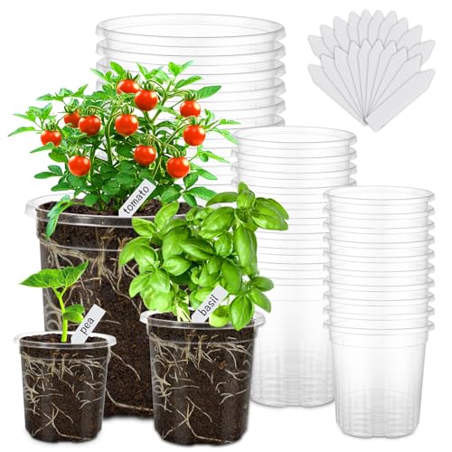 30 Pack 6.5/5/4 In Clear Nursery Plant Pots with Drainage Holes, 20 Labels - size: 4/5/6 in-30p