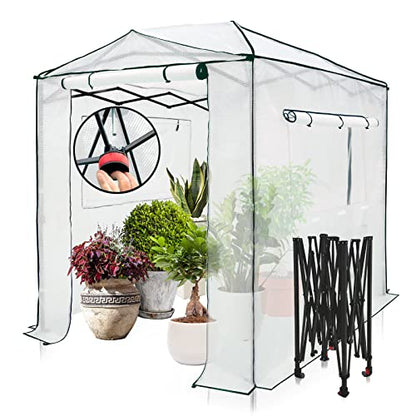 EAGLE PEAK 8x6 Easy Setup Pop Up Greenhouse, Clear/White - color: Clear/White, size: 8x6