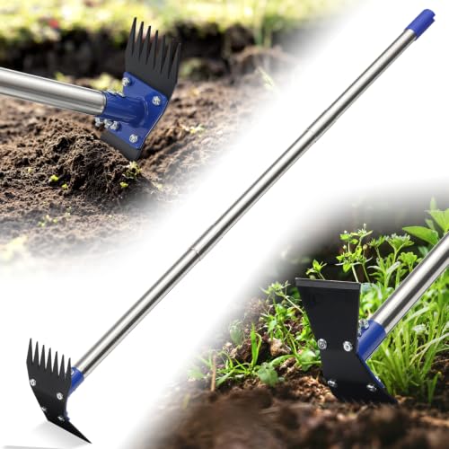 Garden Hoe - Weed Hoe Rake and Cultivator Garden Tool for Weeds Long Handle - Heavy Duty Scuffle Field Grub Dutch Digging Weeding Hand Held Hoes for Gardening (Cobalt Blue) - color: Cobalt Blue