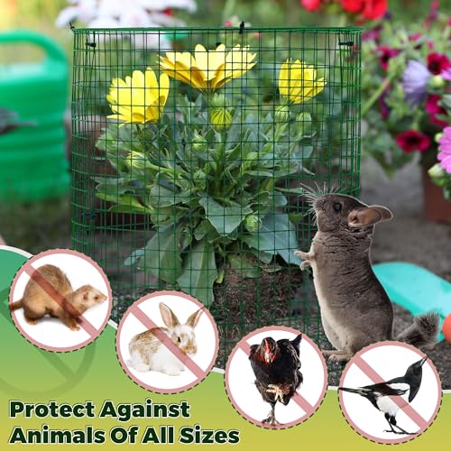Hiboom 4 Pack Garden Plant Protectors from Animals with Stakes, 16 * 13 in