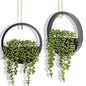 2 Pack Fake Plants Artificial Wall Hanging Succulents Plant - color: Black, size: 2 Pcs