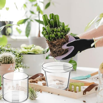 Baderke 2 Pcs 4 Inch Self Watering Pot for Indoor Plants Clear Glass Planter Small Plant Pot with Saucer Reservoir Drainage Holes Bottom Watering Pot for African Violet Orchid Flowers Houseplant - style: /