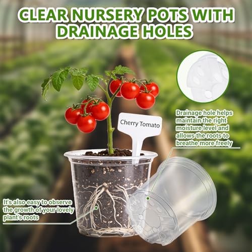 36 Pack Clear Nursery Pots with Saucers(3.5/4/5 Inch)