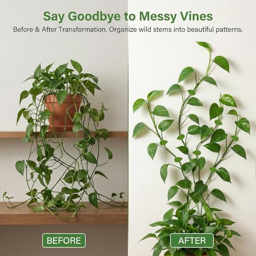 RAINFLOW 90PCS Plant Wall Clips - 108 Adhesive Stickers for Climbing Vines