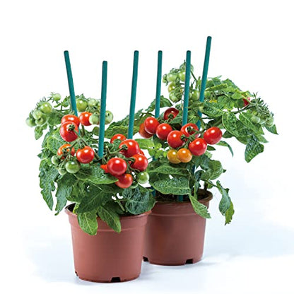 GAGINANG Green Bamboo Plant Stakes, 25 Pcs 18 Inches Floral Support Sticks - size: 18 inch Pack of 25