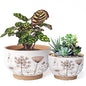 Terracotta Pots, 8+6 Inch Plant Pots, 2 Pcs with Drainage Holes - color: Gadern, size: 8+6 Inch