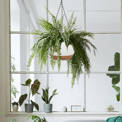 2 Pack Self Watering Hanging Planters: 9.7 Inch Pots with Chain Tray, White - color: White