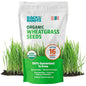 Back to the Roots 100% Organic Wheatgrass Seeds | 1 Pound Non-GMO | Nutrient Dense, Easy to Grow | Cat Grass Planter Seeds - color: Wheatgrass 1lb