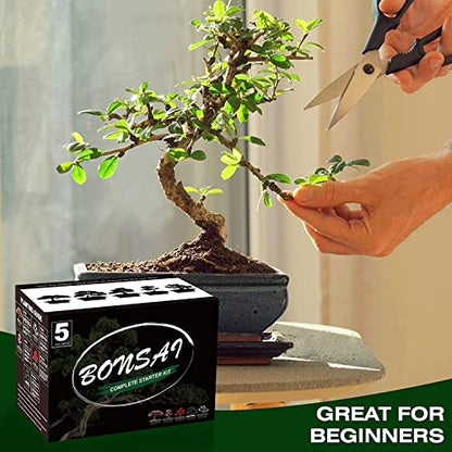 Meekear 5 Bonsai Tree Kit Complete Plant Growing Tools, Grow in Pot Indoor Bonsai Tree Starter Kit, Great Home Gardening Potted Plants DIY Gift for Adults