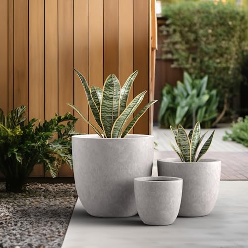 Kante Set of 3 CON Gray Concrete Bowl Planters 18" 14" 10" Dia - color: Light Gray, size: 18"d + 14"d + 10"d