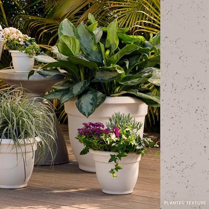 Bloem Ariana 16" Plastic Self-Watering Planter, Vanilla Bean, 2-Pack - color: Vanilla Bean, size: 16" (Pack of 2)