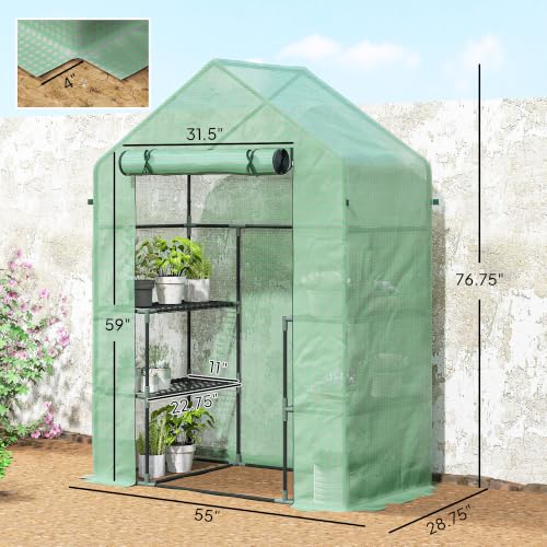 Greenhouse - color: Green