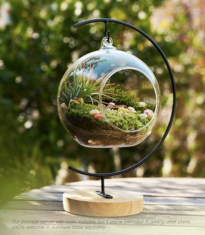 LuckyRunes DIY Terrarium Kit with Live Moss, 15-Piece Glass Globe Set